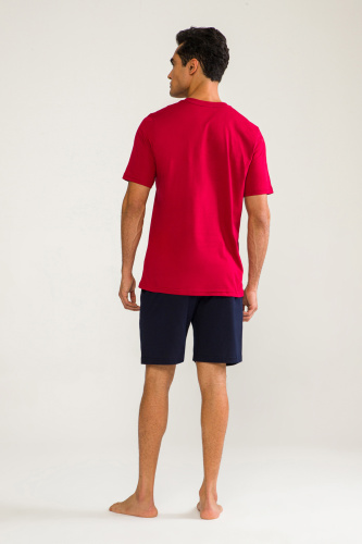 DS1021 Комплект D'S Damat мужской одежды бордовый фото 3